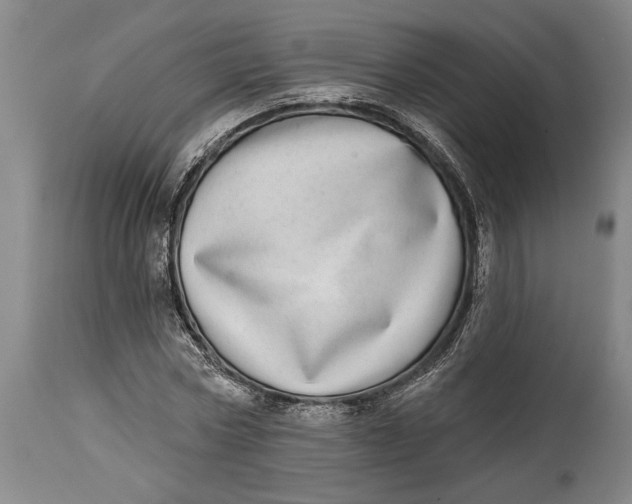 X0000115010778200911161559