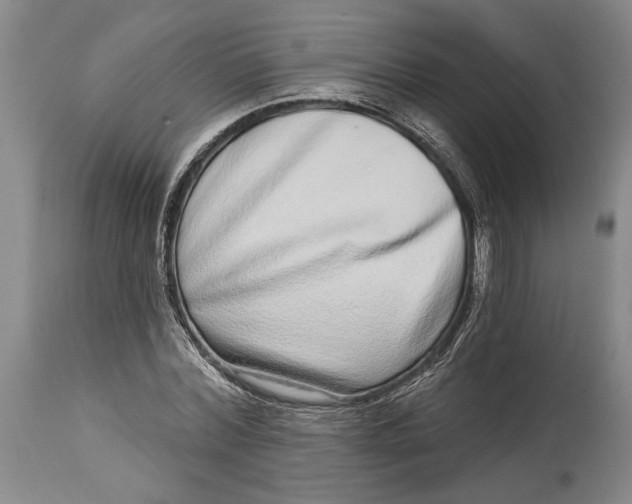 X0000115010780200911161559