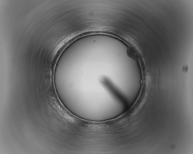 X0000115010781200911161559