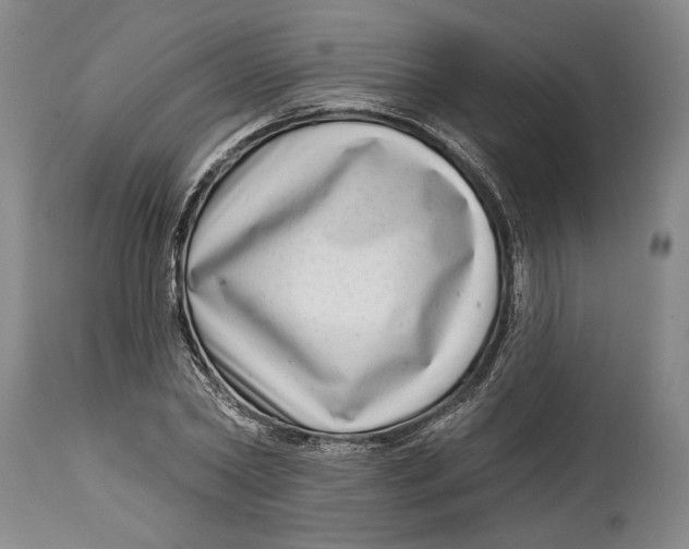 X0000115010782200911161559
