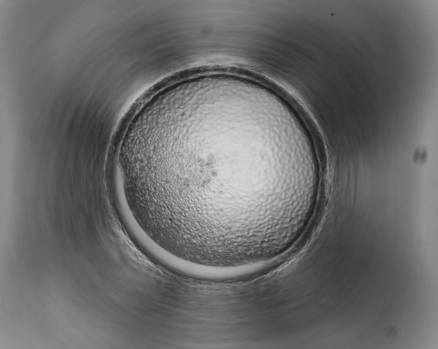 X0000115010783200911161559