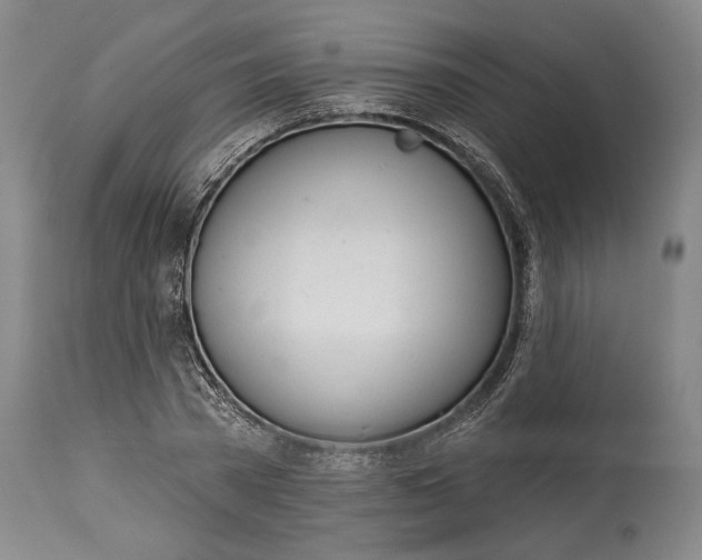 X0000115010785200911161559