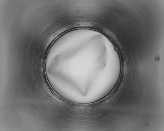 X0000115010786200911161559
