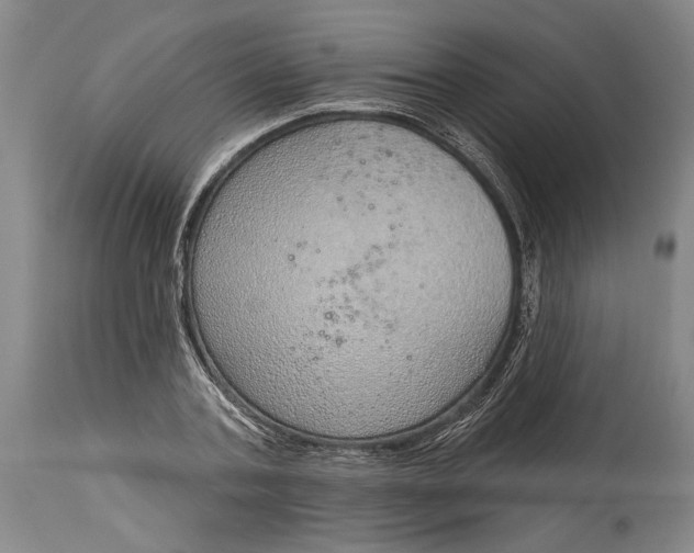 X0000115010787200911161559