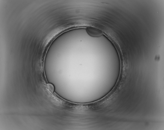 X0000115010789200911161559
