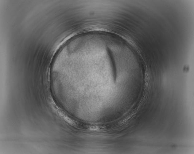 X0000115010790200911161559