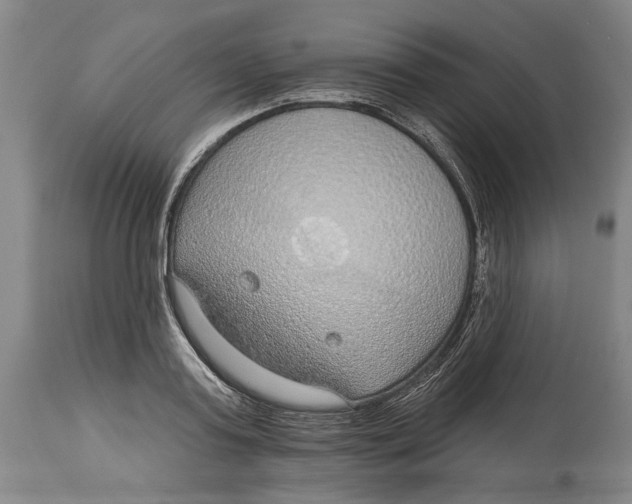 X0000115010795200911161559