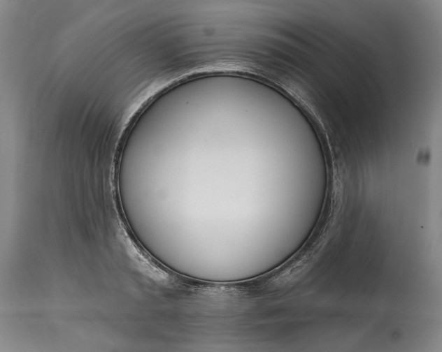 X0000115010797200911161559