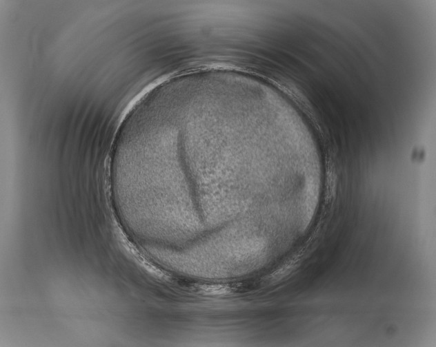 X0000115010798200911161559