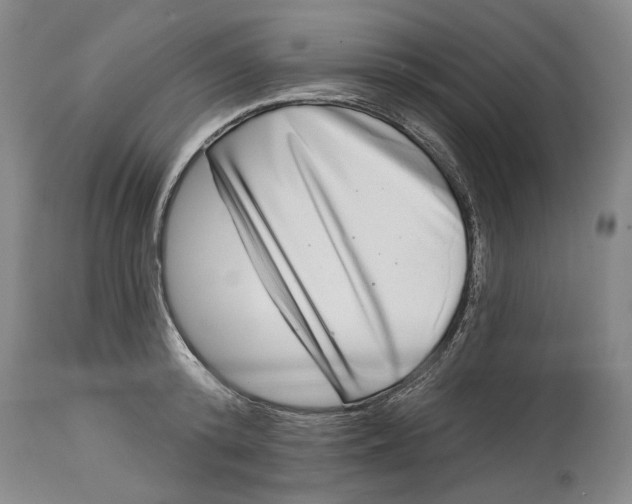 X0000115010800200911161559