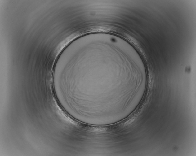 X0000115010802200911161559