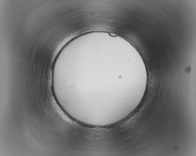 X0000115010804200911161559