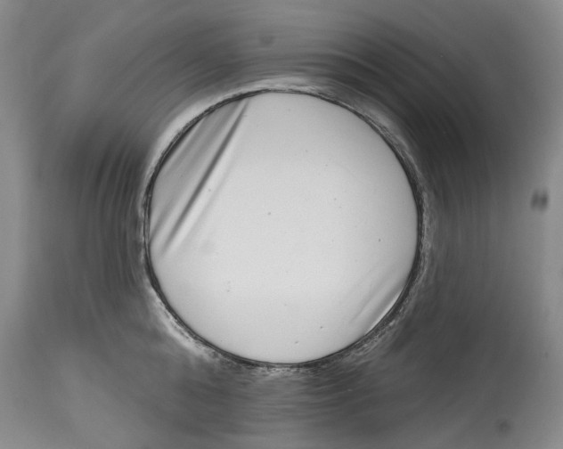 X0000115010808200911161559