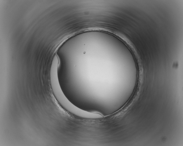 X0000115010809200911161559