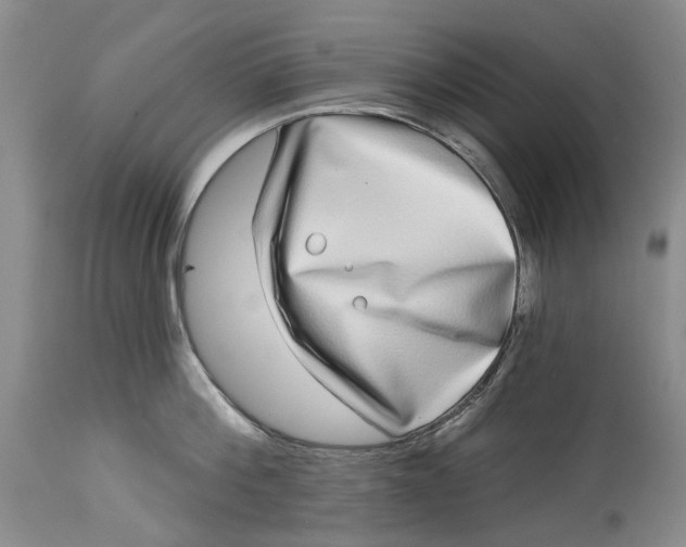 X0000115010812200911161559