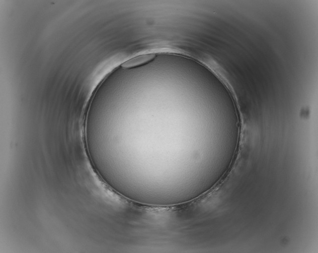 X0000115010813200911161559