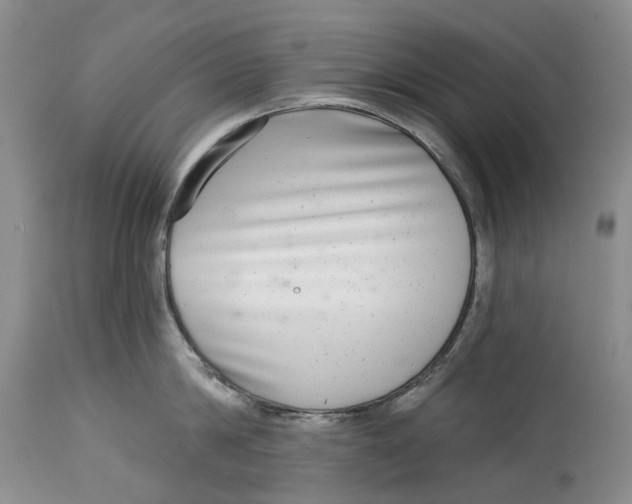 X0000115010814200911161559