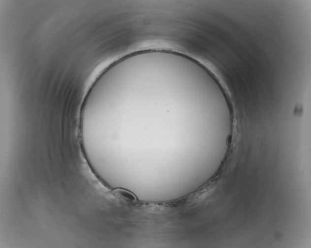 X0000115010815200911161559
