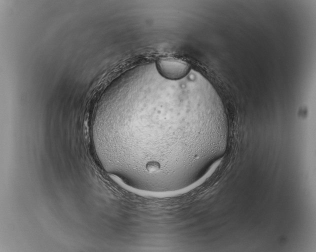 X0000115010818200911161558