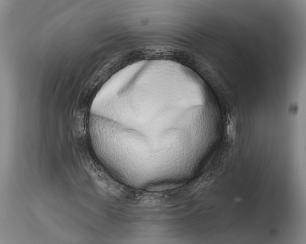 X0000115010819200911161558