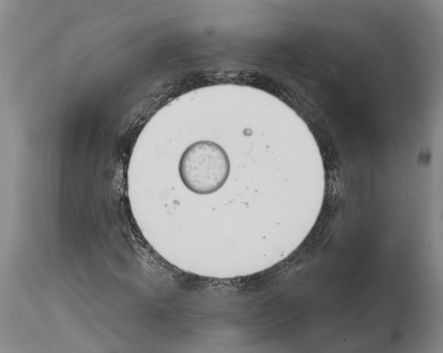 X0000115010820200911161558