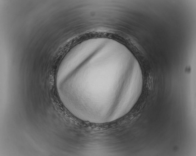 X0000115010821200911161558