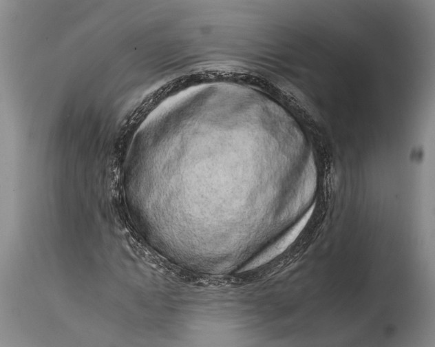 X0000115010822200911161558