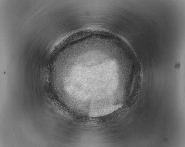 X0000115010823200911161558