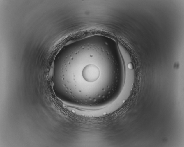 X0000115010824200911161558