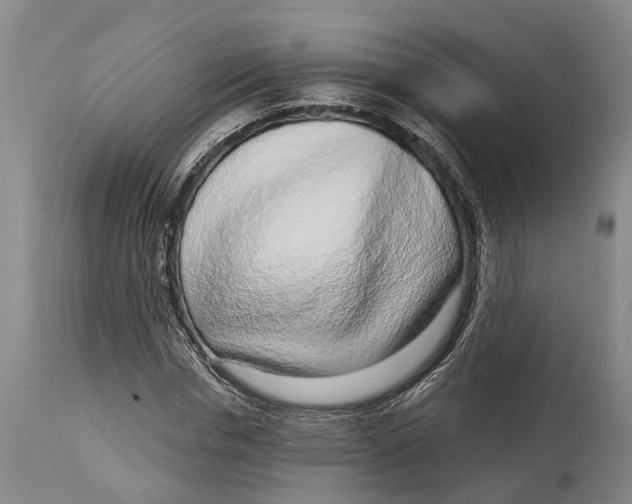 X0000115010826200911161558