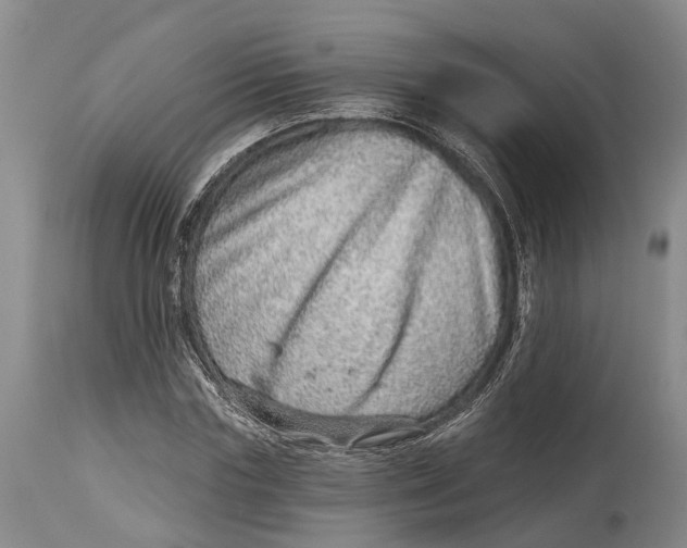 X0000115010827200911161558