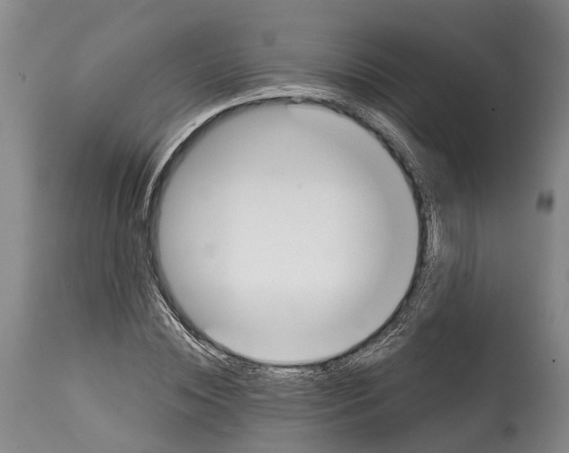 X0000115010828200911161558