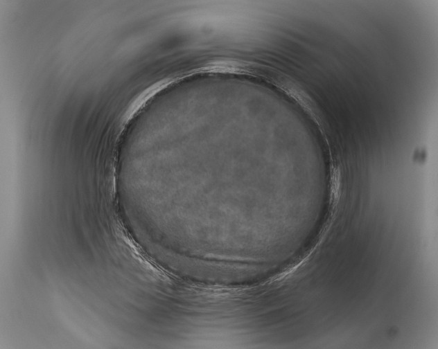 X0000115010829200911161558