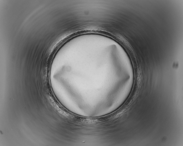 X0000115010831200911161558