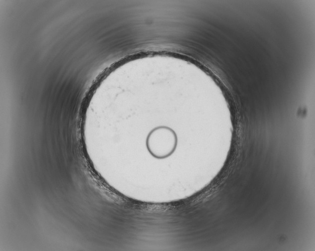 X0000115010832200911161558