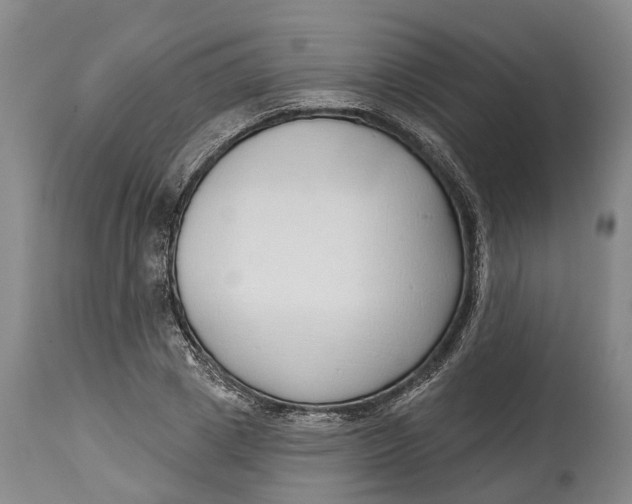 X0000115010833200911161558