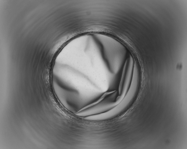 X0000115010834200911161558