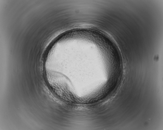 X0000115010835200911161558