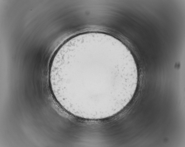 X0000115010836200911161558