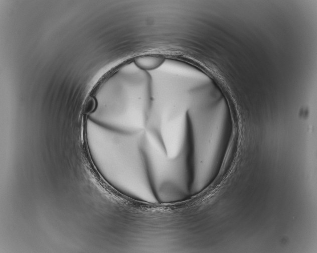 X0000115010838200911161558