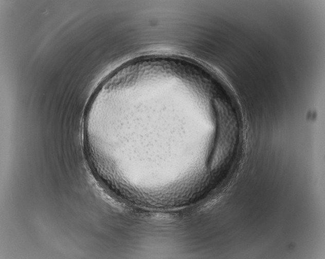 X0000115010839200911161558