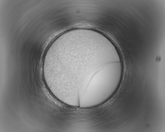 X0000115010840200911161558