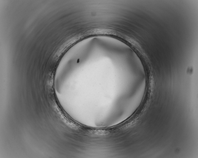 X0000115010841200911161558