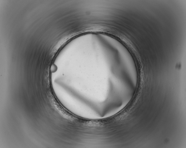 X0000115010842200911161558