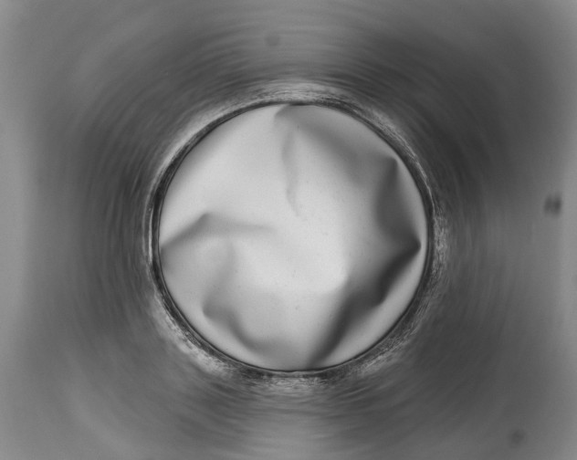 X0000115010843200911161558