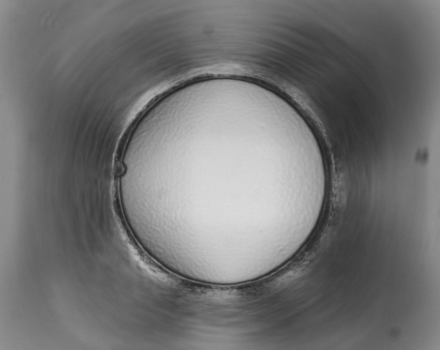 X0000115010845200911161558