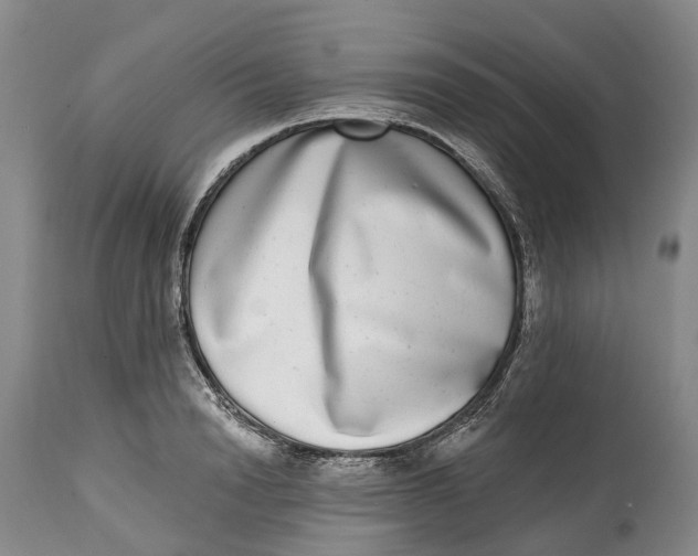 X0000115010846200911161558