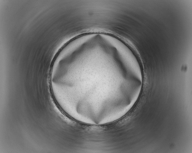 X0000115010847200911161558