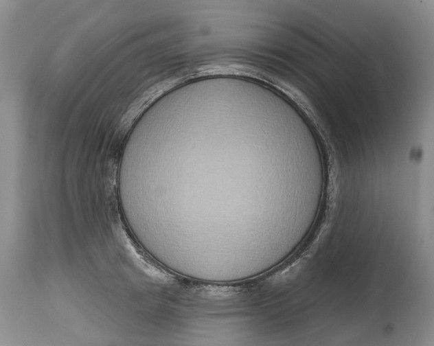 X0000115010849200911161558