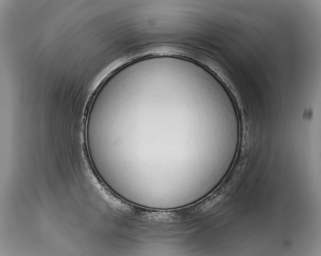 X0000115010853200911161558